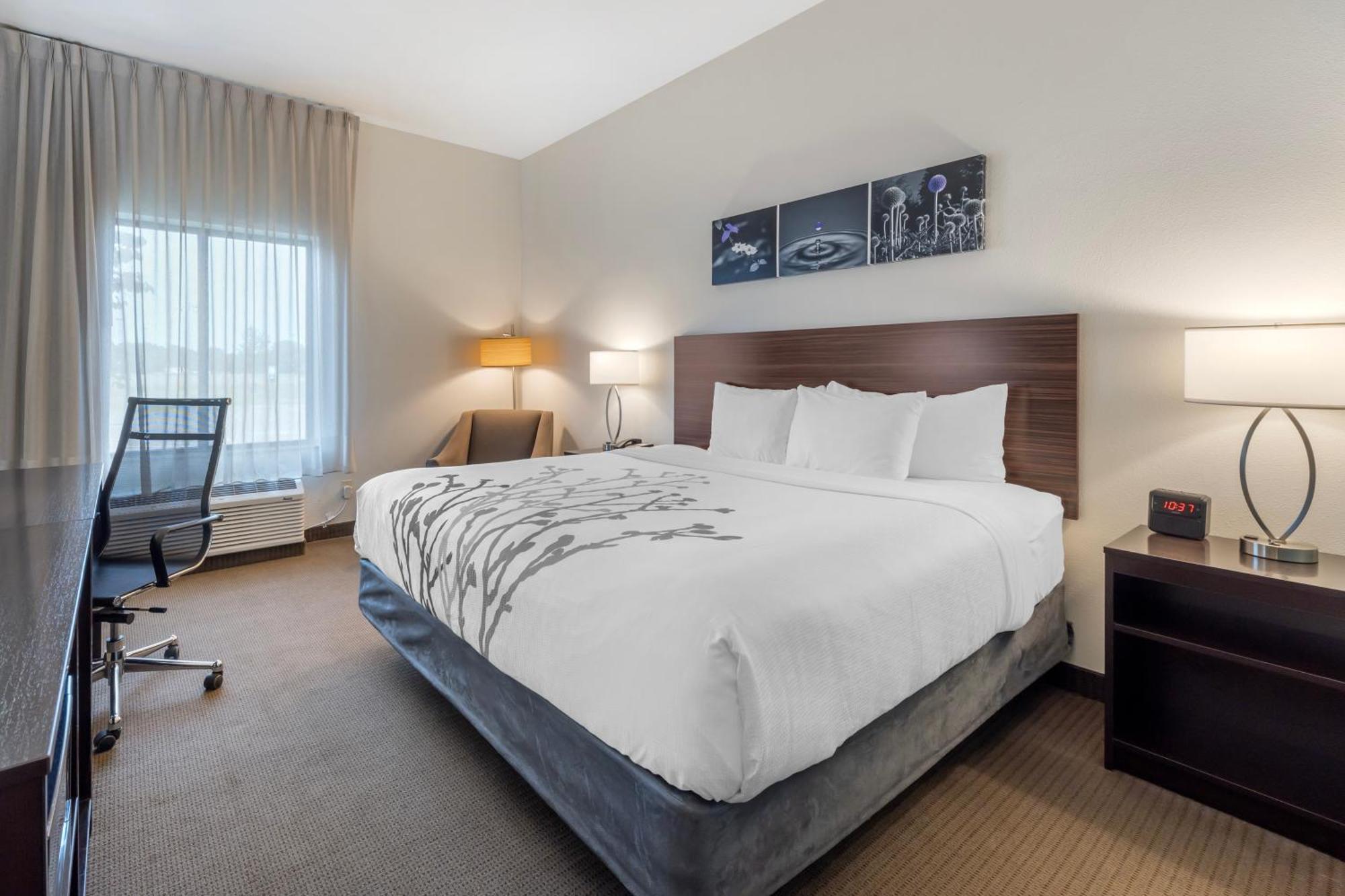 Hotel Sleep & Near